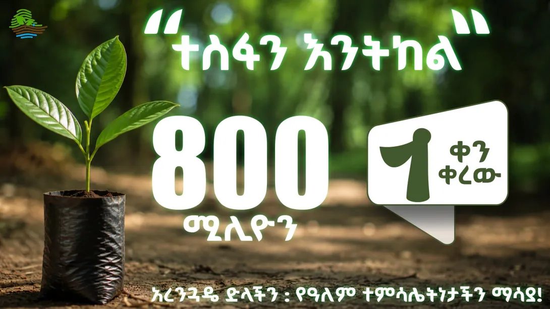 Green Legacy Ethiopia